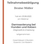 Fortbildung: Darmsanierung beim Hund