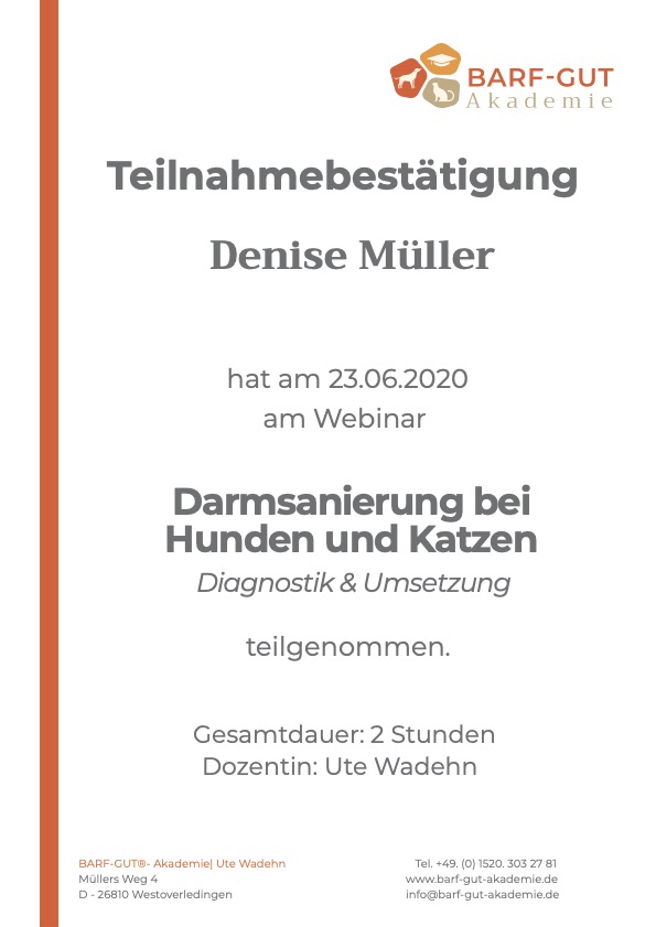 Darmsanierung beim Hund