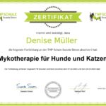 Mykotherapie für Hunde