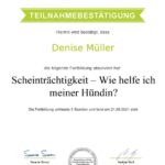 Scheinträchtigkeit unterstützen