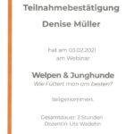 Ernährungsberatung für Welpen und Junghunde