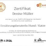 Ernährungsberatung für Hunde und Katzen