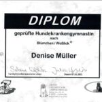 Zertifikat Hundekrankengymnastin