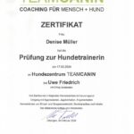 Zertifikat Hundetrainerin