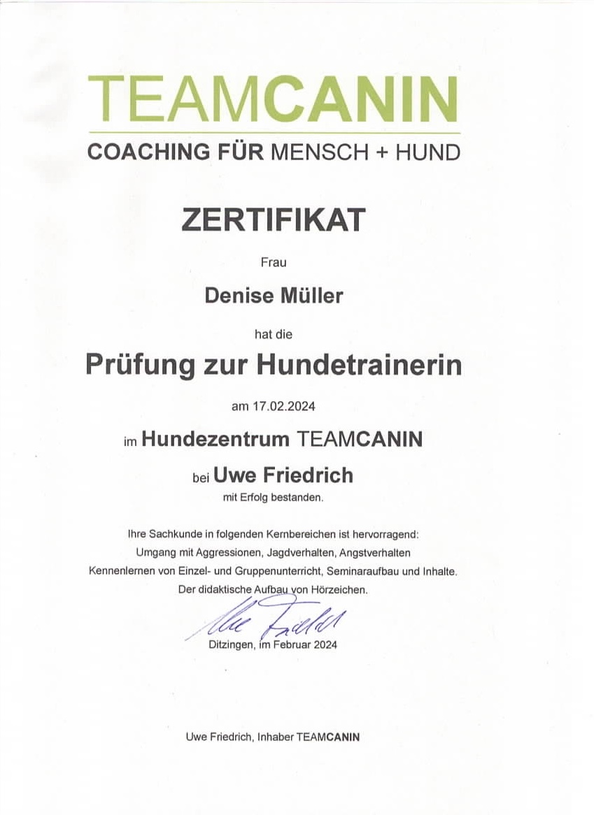 Zertifikat Teamcanin Hundetrainer