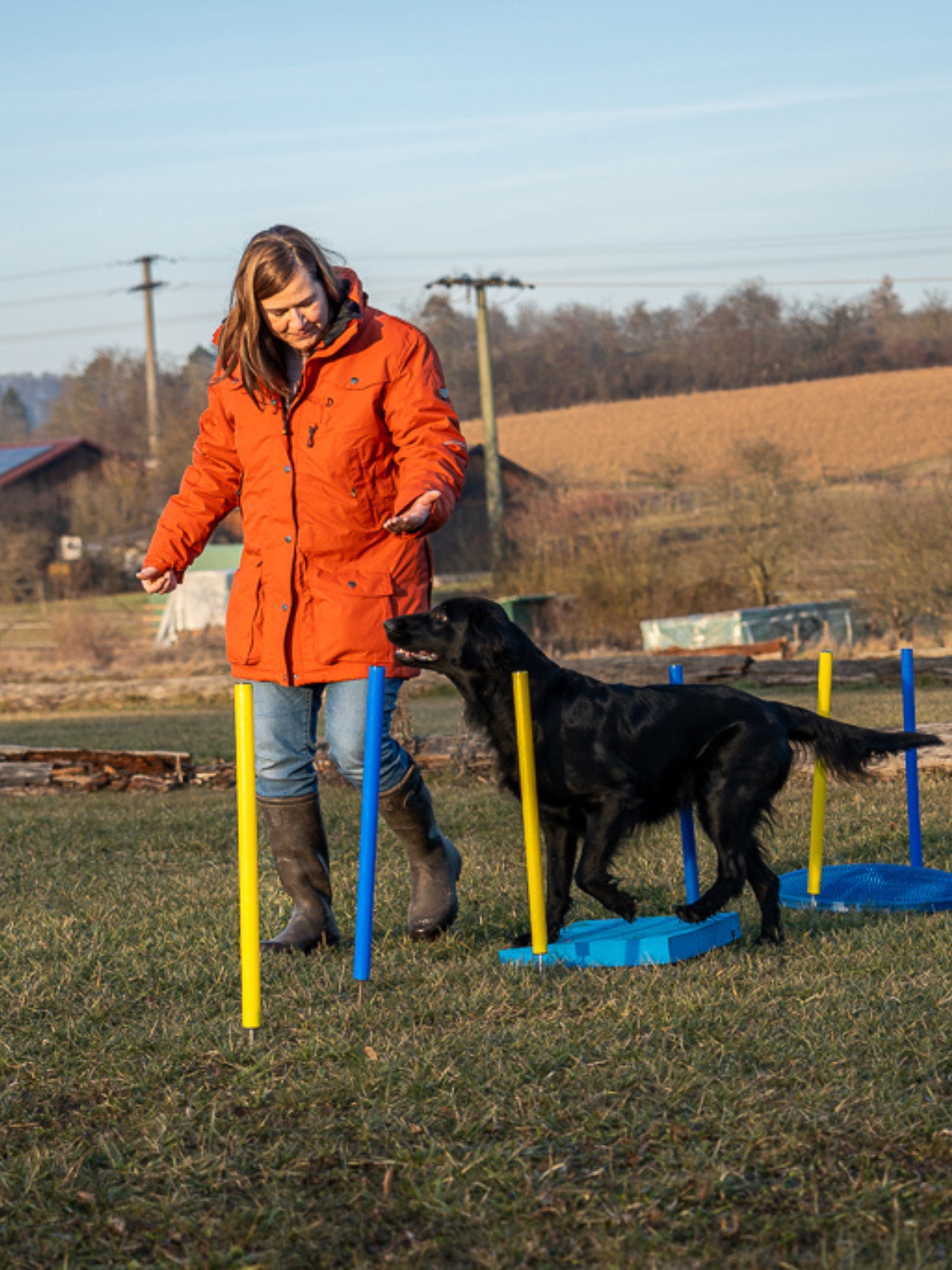 Gesundheitskurse für Hunde