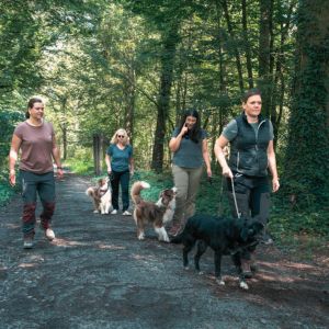 SozialWalk bei wolfsweise in Ludwigsburg