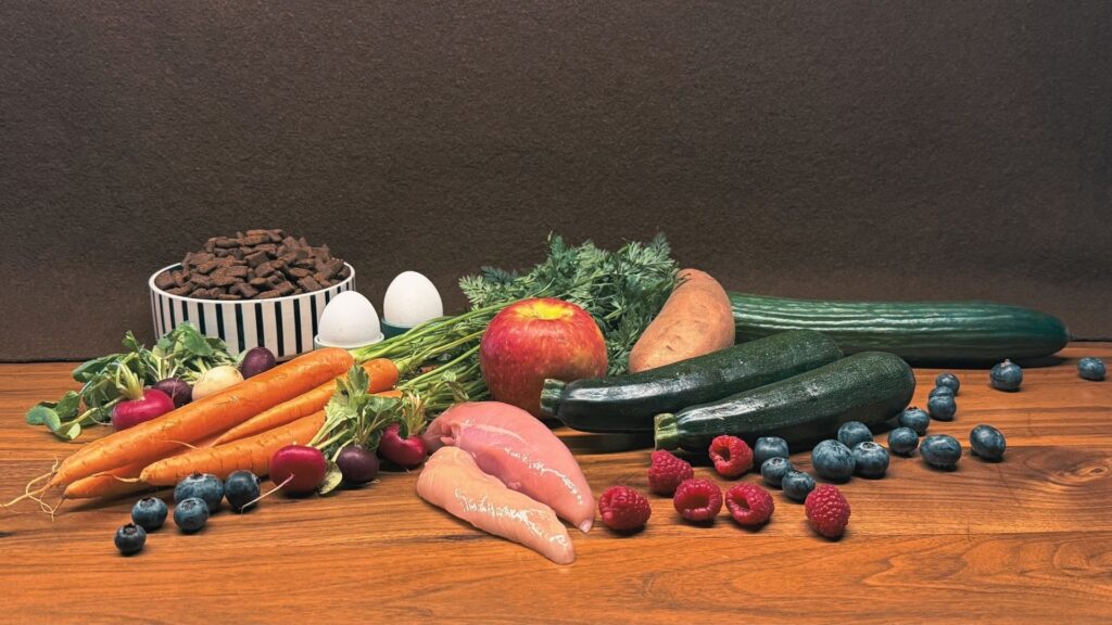 Ernährungsberatung für Hunde
