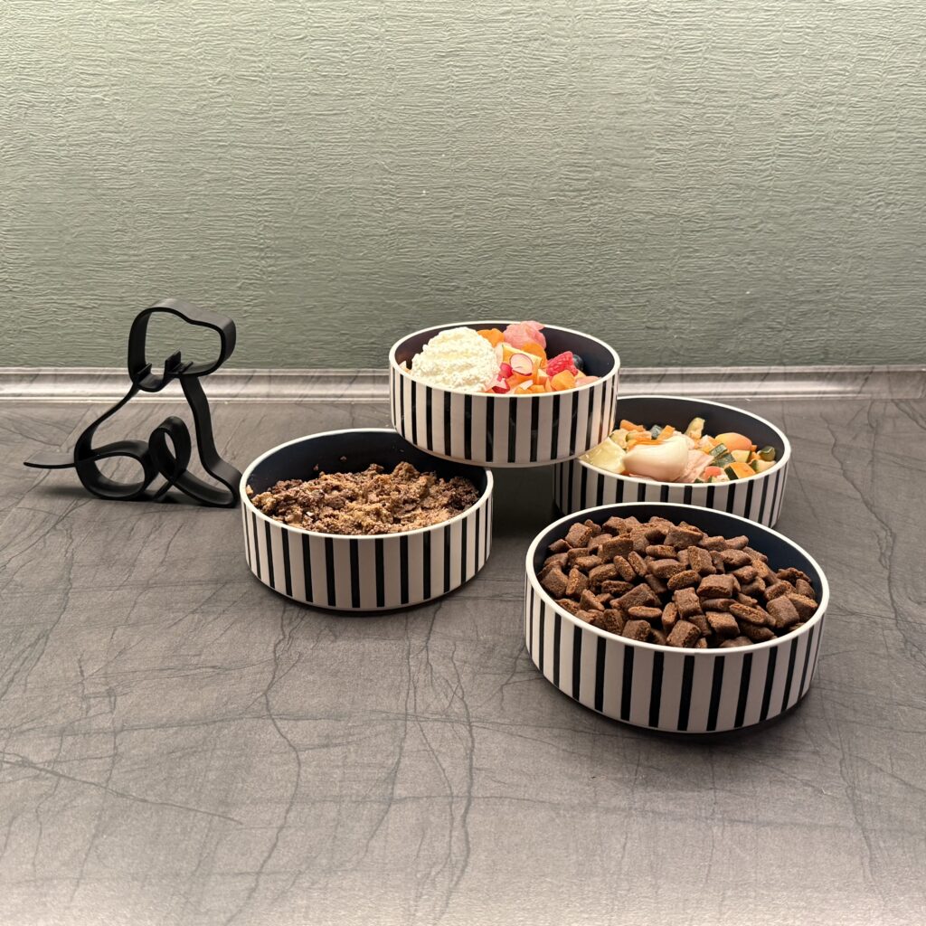 Ernährungsberatung für Hunde