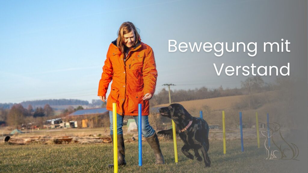 Bewegung mit verstand - Buch über Bewegungstherapie bei Hunden