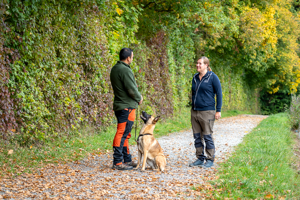 einzelcoaching für Hunde in Ludwigsburg