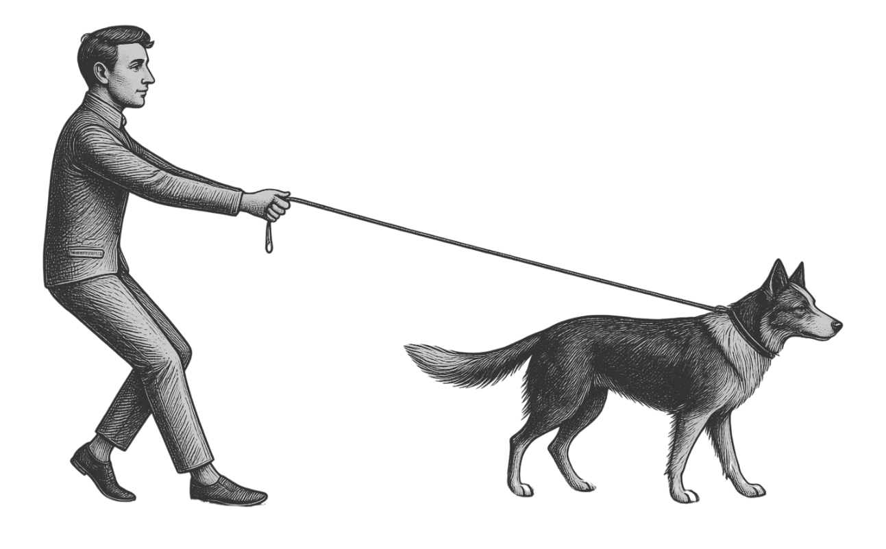Hund zieht an der Leine - Hundetraining Ludwigsburg bei wolfsweise