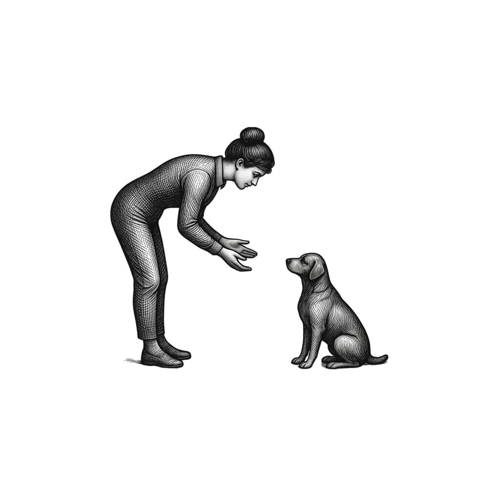 Hundetraining Ludwigsburg