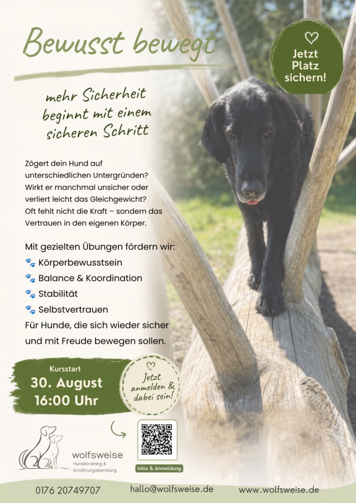 Gesundheitskurse für Hunde bei wolfsweise