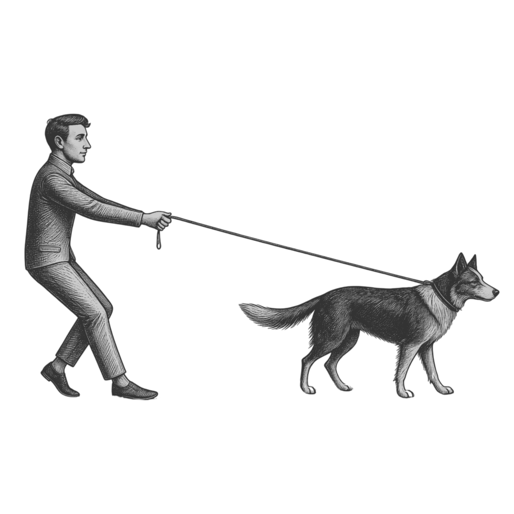 Hund zieht an der Leine