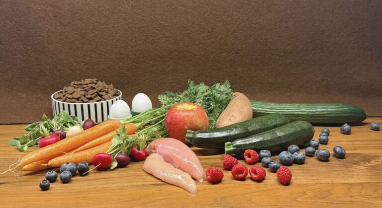 Ernährung & Vitalität - Ernährungsberatung für Hunde