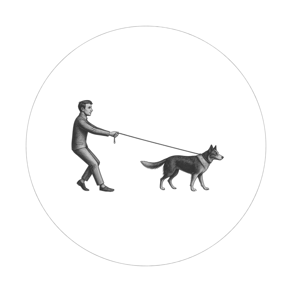 Hundetraining Ludwigsburg - Ein Hund zieht an der Leine