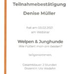 Welpen & Junghunde- wie füttert man sie am besten - Ute Wadehn