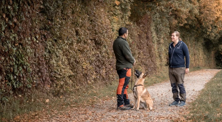 Hundeschule Ludwigsburg