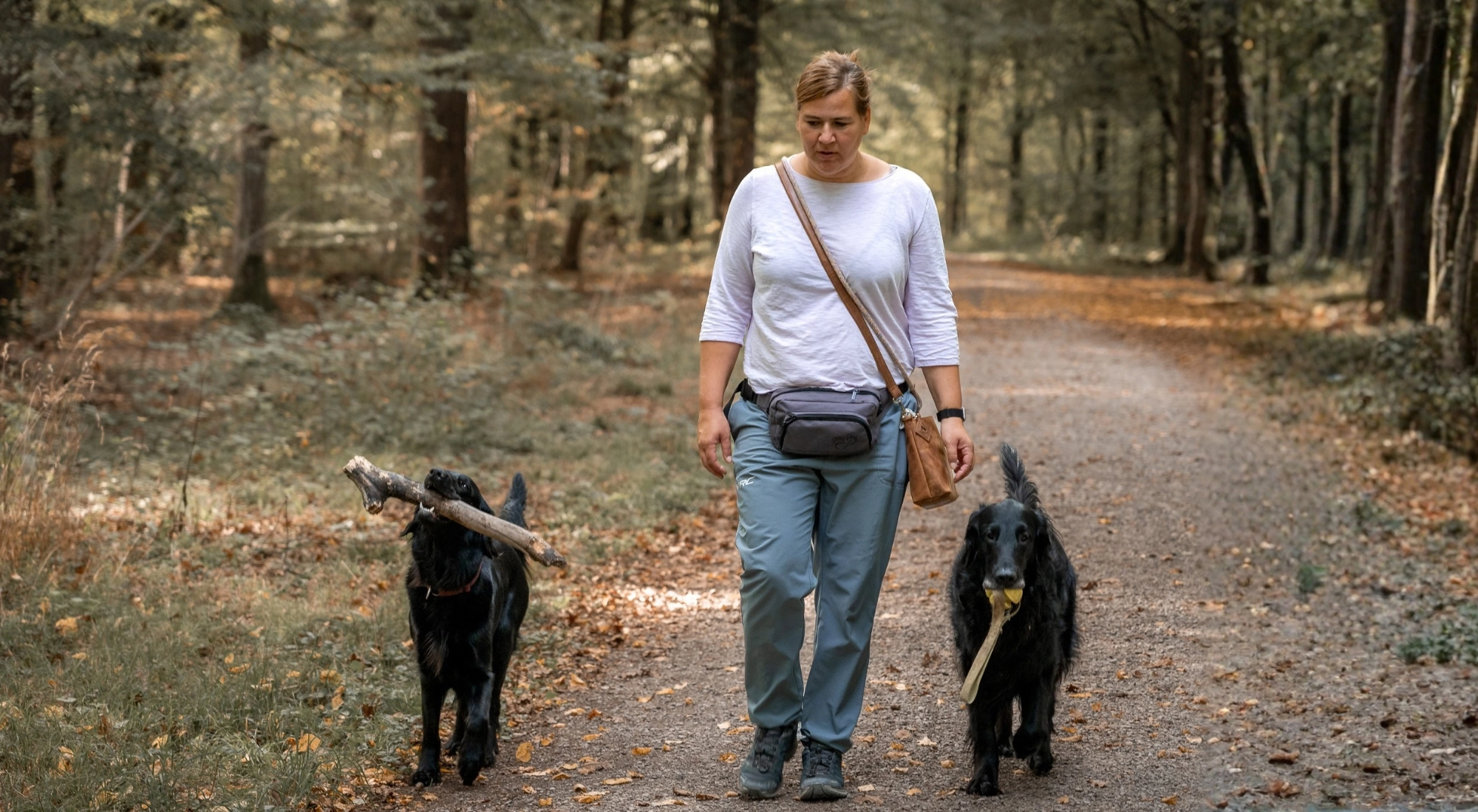 Denise Müller - Hundetrainerin im Kreis Ludwigsburg
