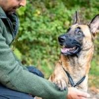Hund und Besitzer - ein Team