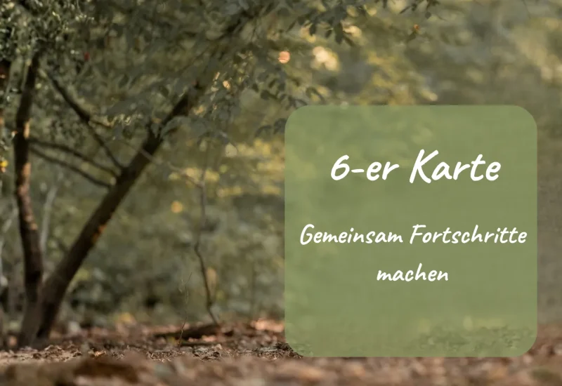 6er Karte Einzelcoaching