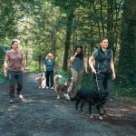 SozialWalk bei wolfsweise in Ludwigsburg