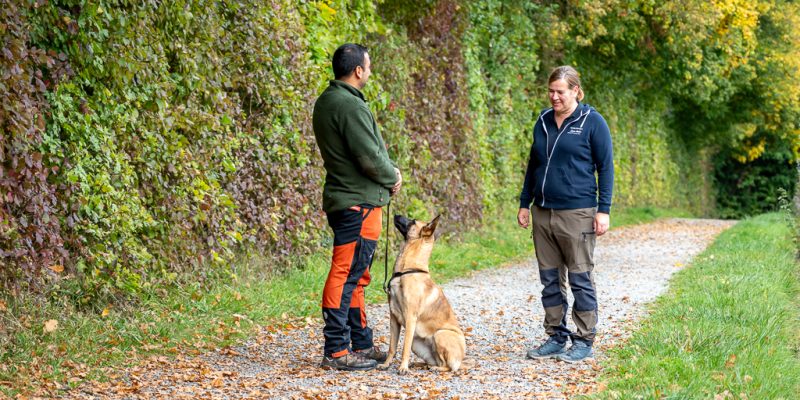 Einzelcoaching bei der Hundeshcule wolfsweise Ludwigsburg