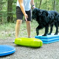 Gesundheit & Prävention für Hunde