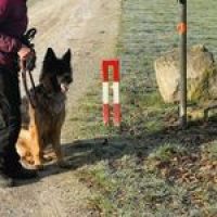 Einzelcoaching bei wolfsweise