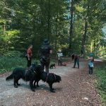 SozialWalk bei wolfsweise in Ludwigsburg