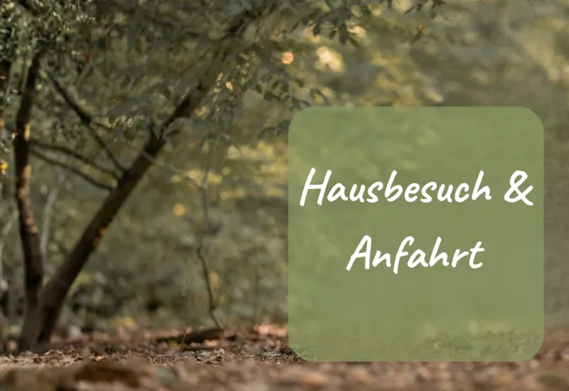 Hausbesuch & Anfahrt