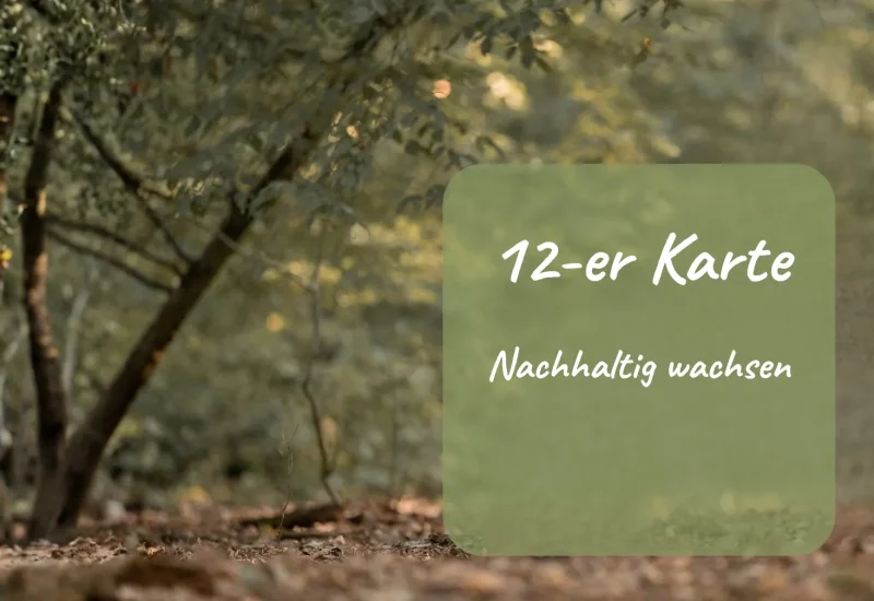 12er Karte Einzelcoaching