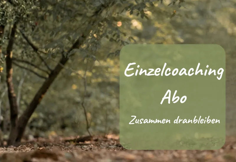 Einzelcoaching Abo