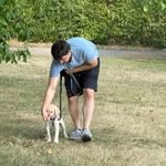 Einzelcoaching für Welpen