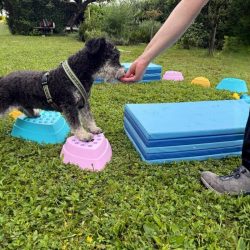 Erdte seite bilder 3