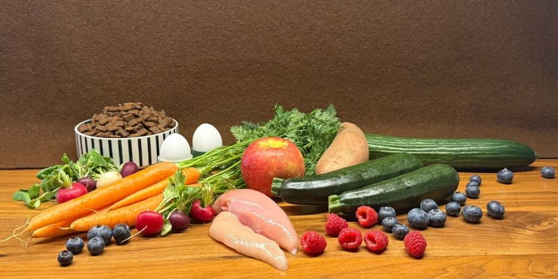 Ernährungsberatung & Vitalität