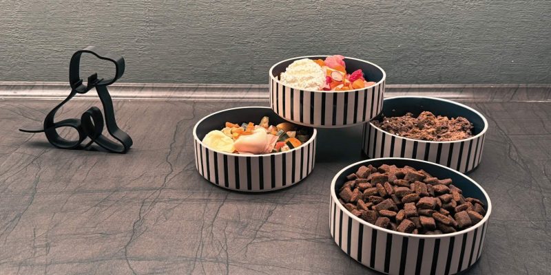 Ernährungsberatung für Hunde