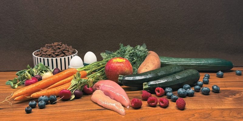 Ernährungsberatung für Hunde bei wolfsweise