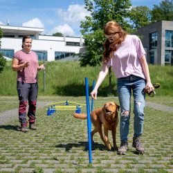 Frida und Lore geräte