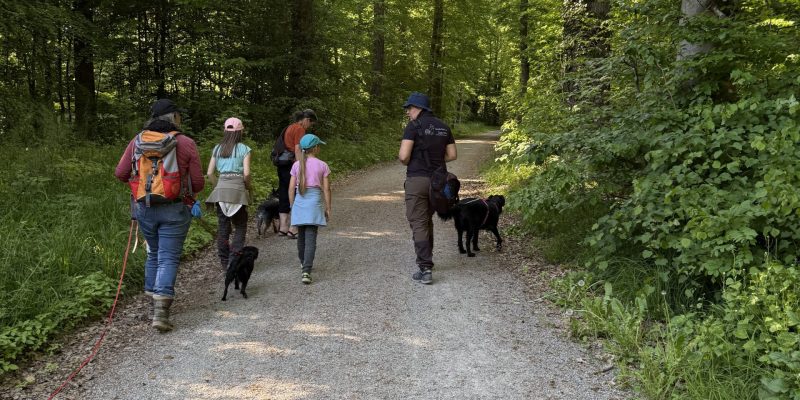 SozialWalk