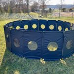 Welpen- und Junghundegruppe in Ludwigsburg