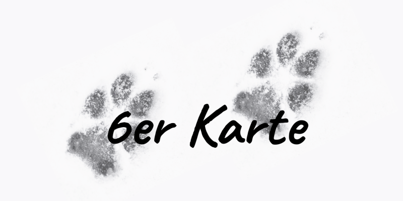 6 er Karte