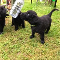 PHOTO-2021-06-05-10-42-05 3