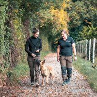 Titel Training Desktop 1