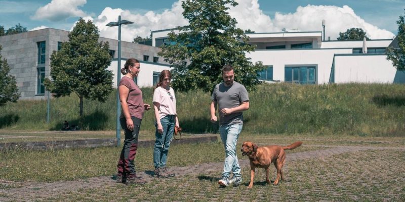 Hundeschule wolfsweise in Ludwigsburg